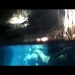 Inside the cenote